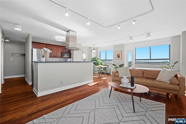 living room with dark hardwood / wood-style floors