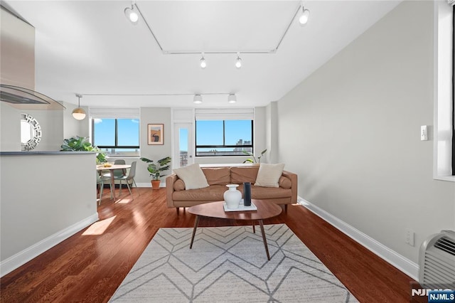 living room with track lighting and wood-type flooring