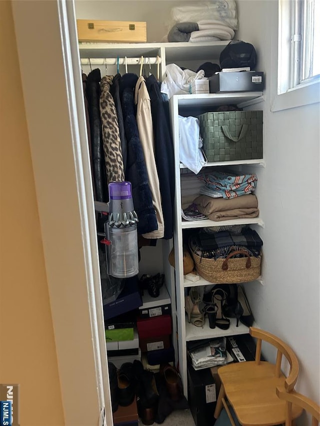 view of closet