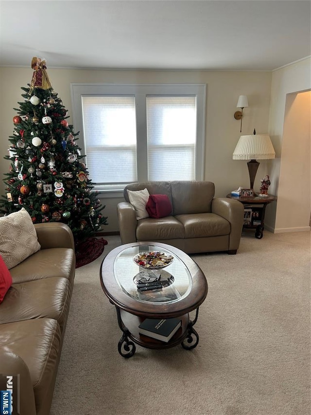 view of carpeted living area