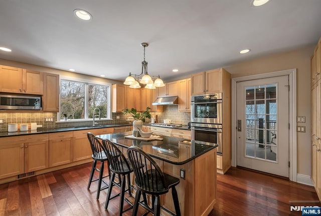 kitchen with under cabinet range hood, dark wood-style floors, stainless steel appliances, and a sink