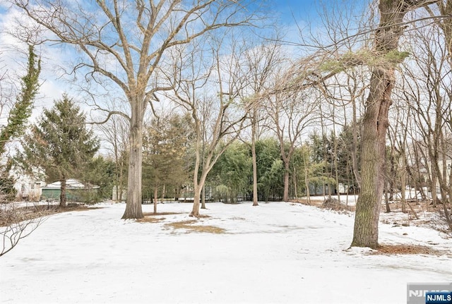 view of snowy yard