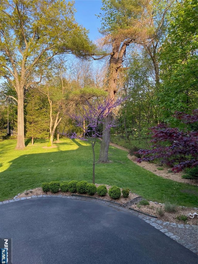 view of property's community with a lawn