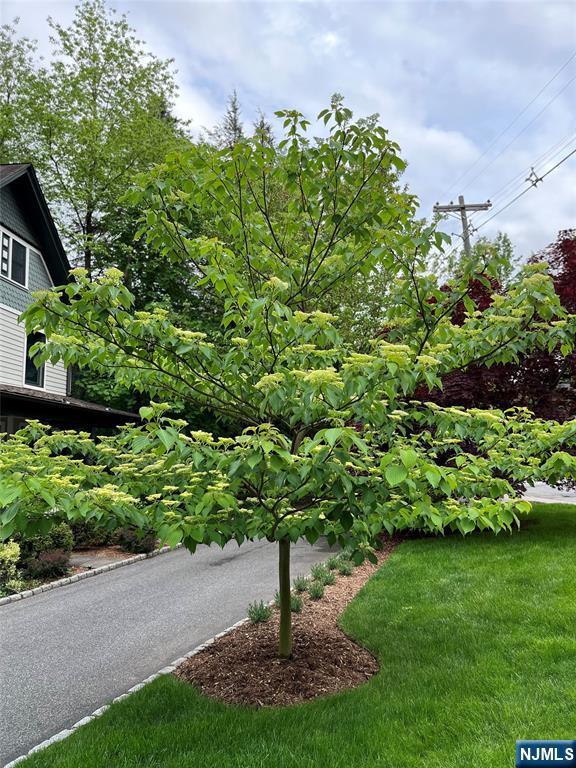 exterior space with a front yard