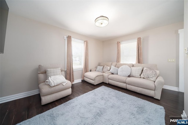 living room featuring dark wood-type flooring