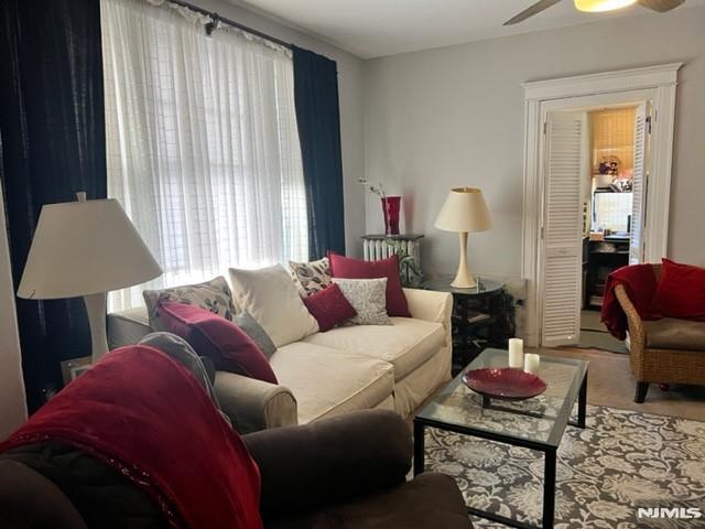 living area with ceiling fan