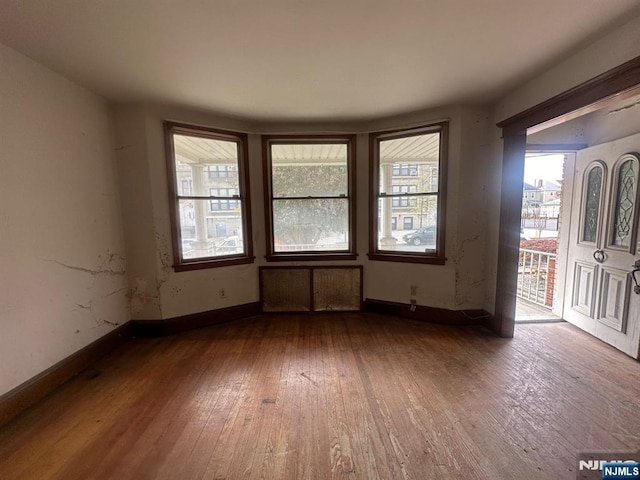 spare room with a wealth of natural light and wood-type flooring