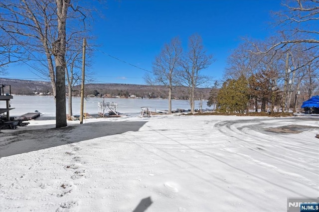 view of snowy yard