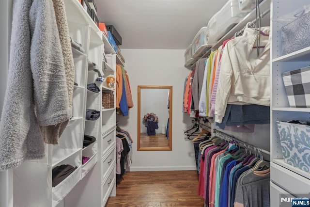 spacious closet featuring dark hardwood / wood-style floors