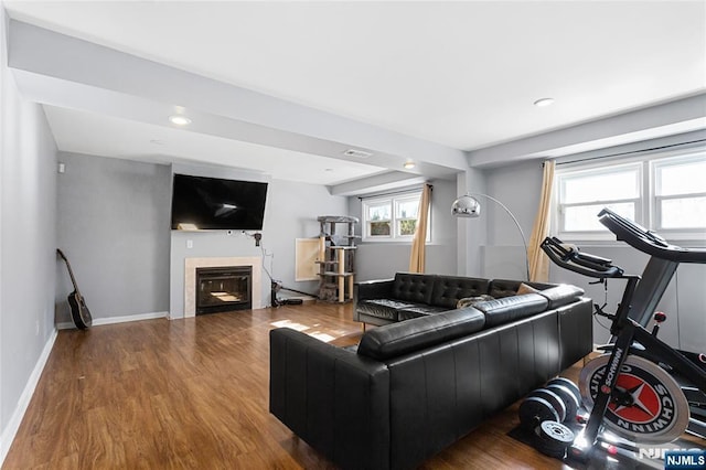 living room featuring wood-type flooring