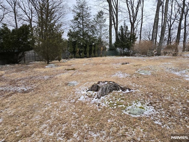 view of yard with fence