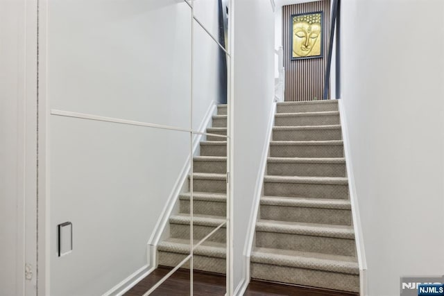 staircase featuring wood finished floors