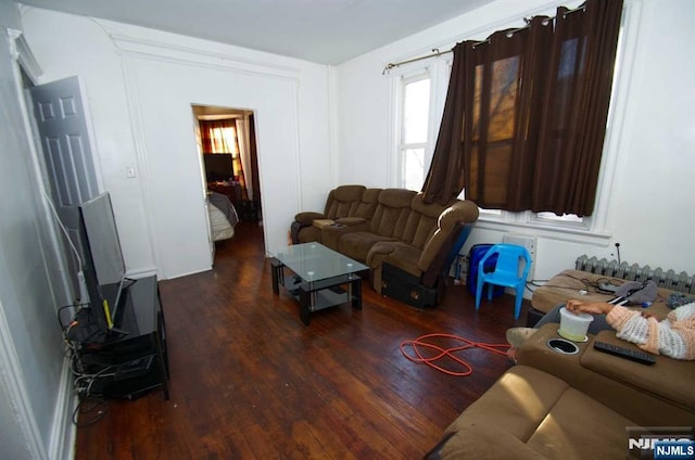 living area with dark wood-type flooring