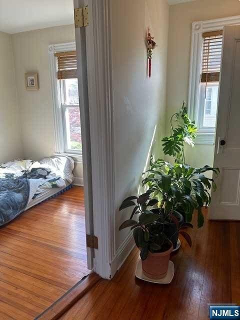 interior space with a wealth of natural light, baseboards, and wood finished floors