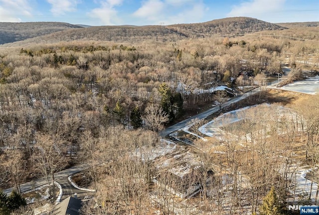 property view of mountains