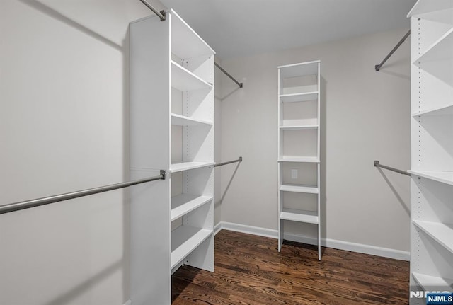 spacious closet featuring dark wood-type flooring