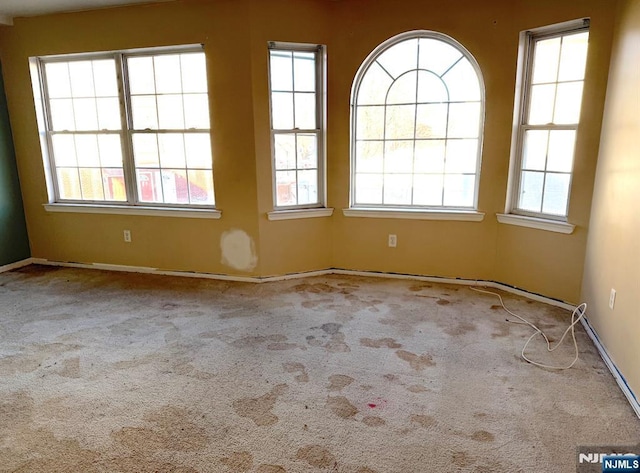 empty room with a wealth of natural light and light colored carpet