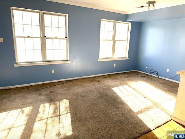 spare room featuring carpet floors, baseboards, visible vents, and ornamental molding