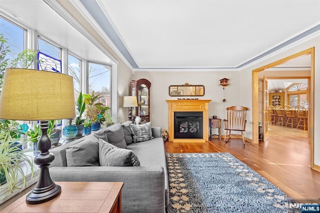 living room featuring ornamental molding, a fireplace, and wood finished floors