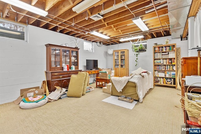 below grade area featuring carpet floors and visible vents