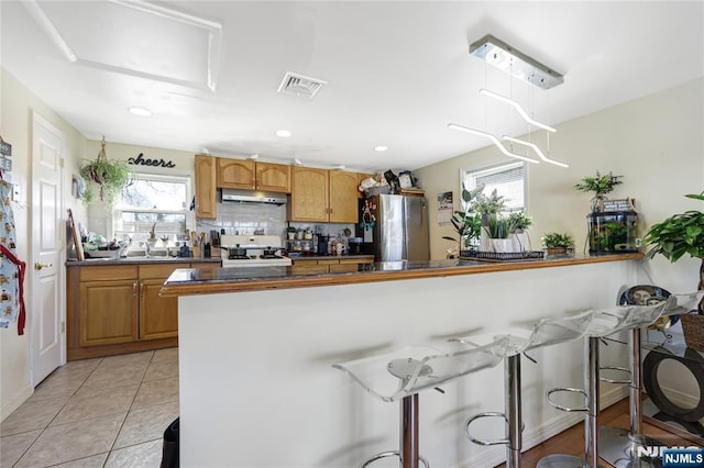 kitchen with plenty of natural light, dark countertops, stove, decorative light fixtures, and freestanding refrigerator