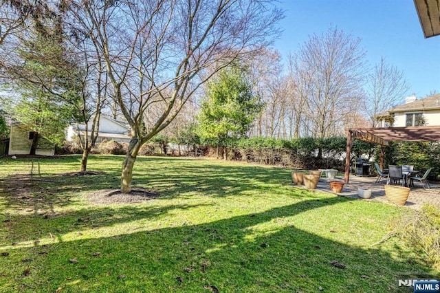 view of yard with a patio and a pergola