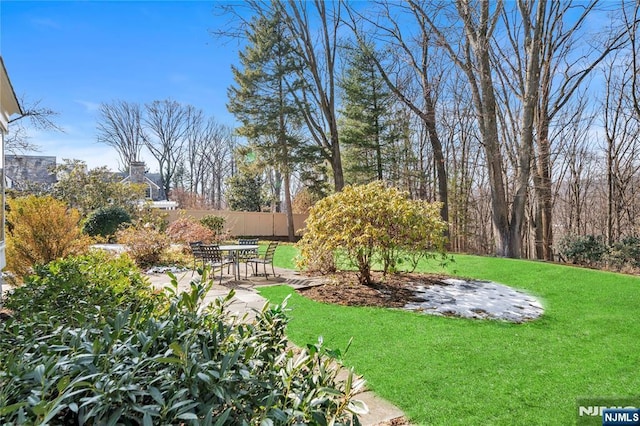 view of yard with a patio and fence