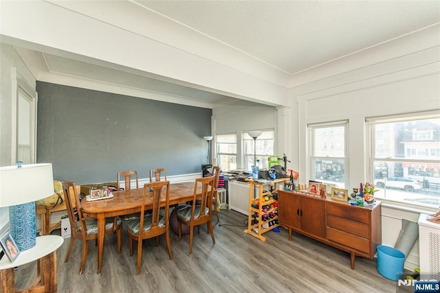 dining area with wood finished floors