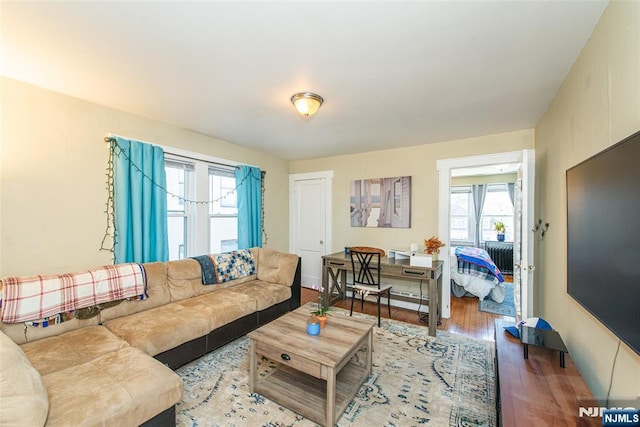 living room with radiator and wood finished floors