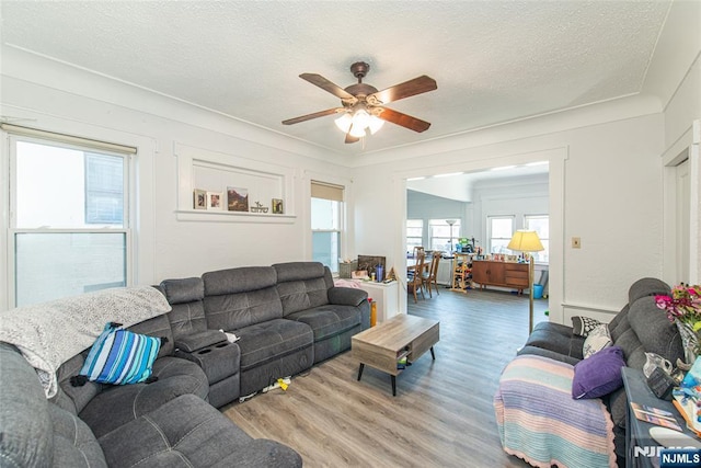 living room featuring light wood-style floors, a ceiling fan, and a textured ceiling