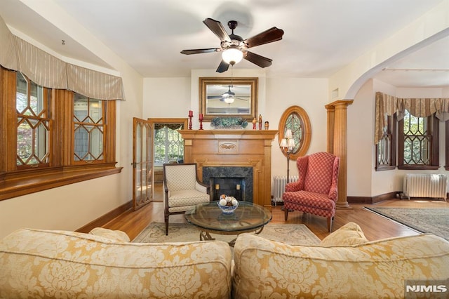 living area featuring baseboards, radiator heating unit, and wood finished floors