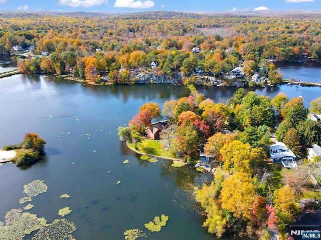 aerial view featuring a water view and a wooded view