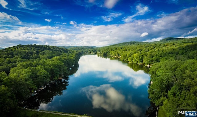 view of water feature featuring a view of trees