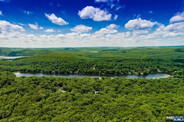 bird's eye view with a water view and a wooded view