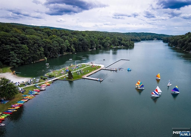 birds eye view of property with a water view and a view of trees