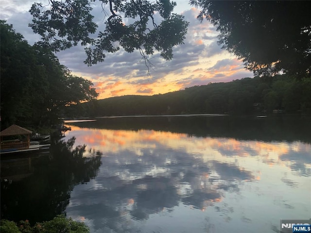 property view of water with a wooded view