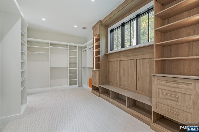 walk in closet with visible vents and carpet