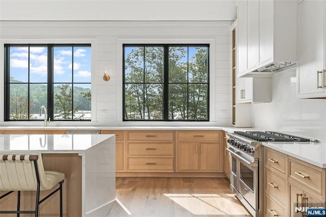 kitchen with light countertops, light brown cabinetry, light wood finished floors, and high end stainless steel range