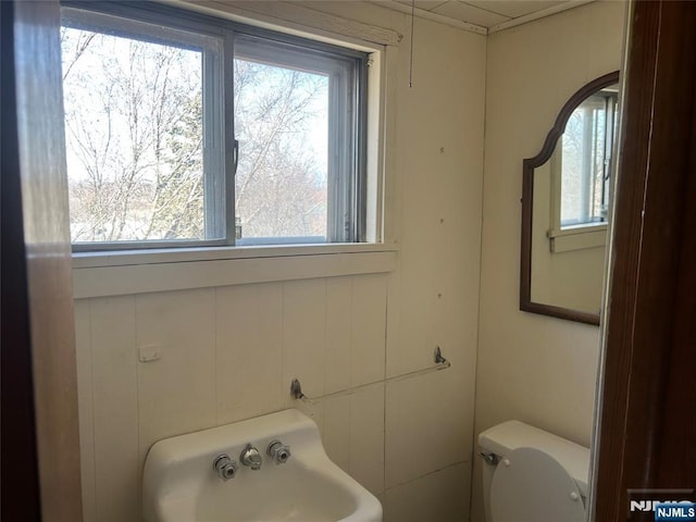 bathroom featuring toilet