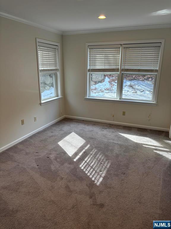 carpeted spare room with crown molding and baseboards