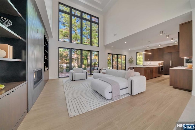 living area featuring a towering ceiling, light wood-style floors, and a fireplace