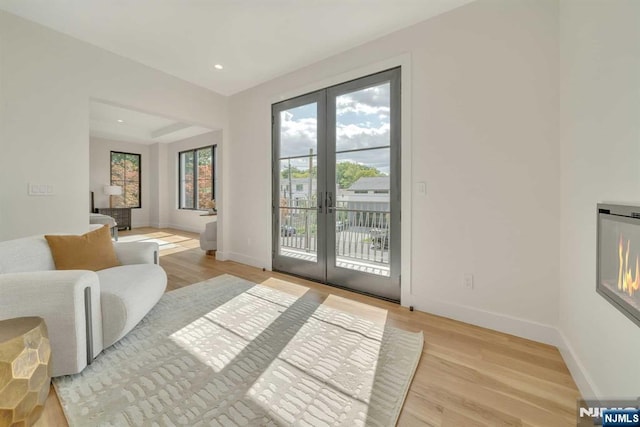 doorway to outside featuring french doors, light wood-style flooring, and baseboards