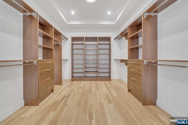 walk in closet with a tray ceiling and light wood-type flooring