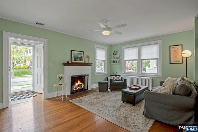 living room with ceiling fan, a brick fireplace, radiator, wood finished floors, and visible vents