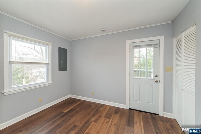 interior space with dark wood-style floors, electric panel, plenty of natural light, and baseboards