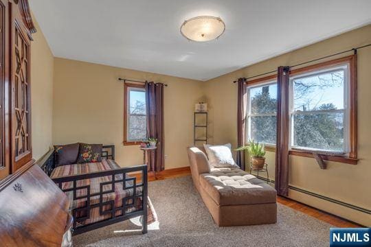 bedroom with a baseboard heating unit and multiple windows