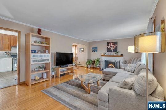 living area featuring ornamental molding, a warm lit fireplace, and light wood finished floors