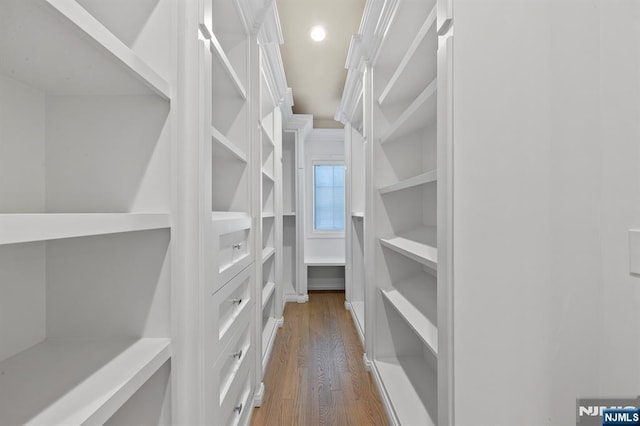 spacious closet featuring dark wood-style flooring