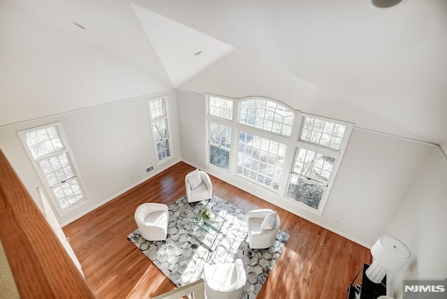 living room with high vaulted ceiling and wood finished floors