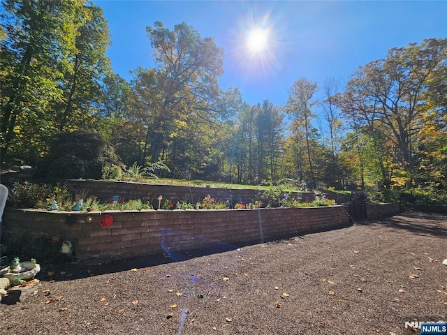 view of yard featuring a vegetable garden